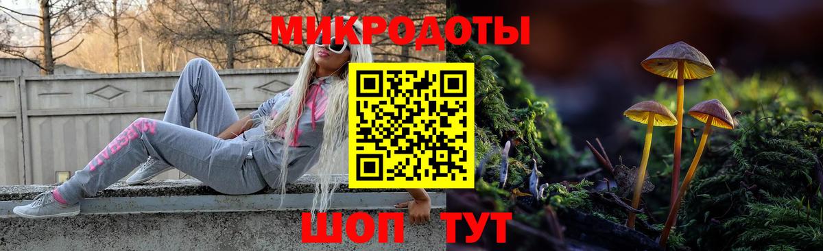 Псилоцибиновые грибы GOLDEN TEACHER  Вход с VPN  Сафоново 