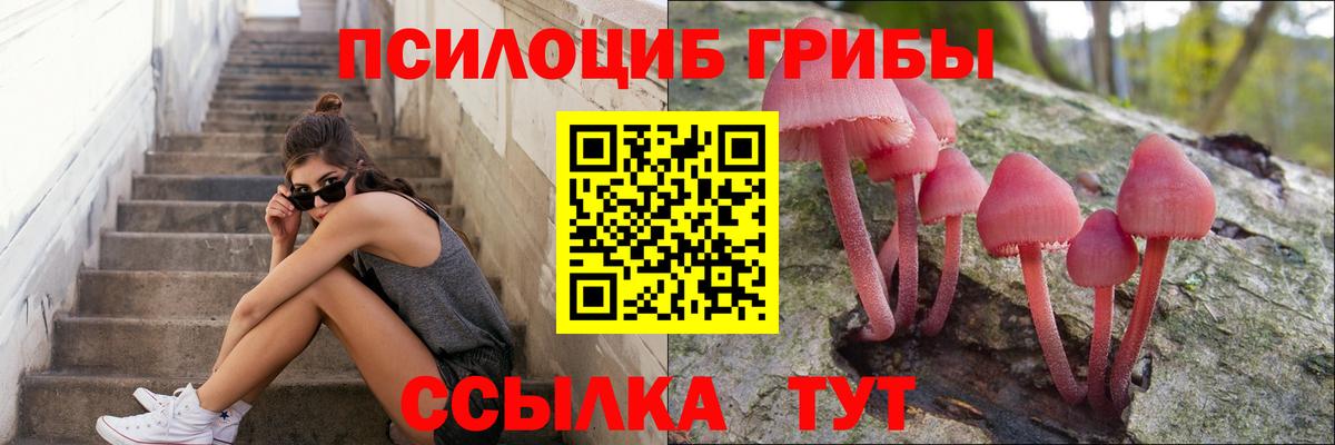 Галлюциногенные грибы мухоморы Сафоново